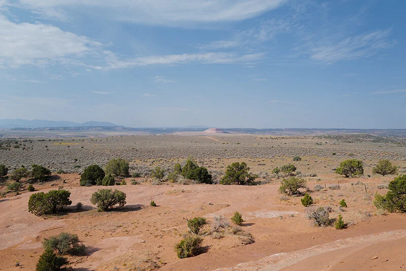 L1010083.jpg