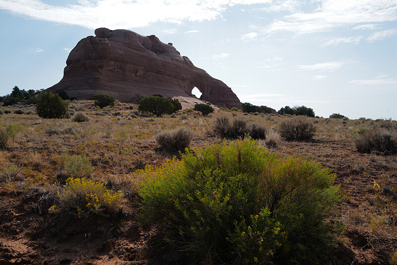 L1010090.jpg