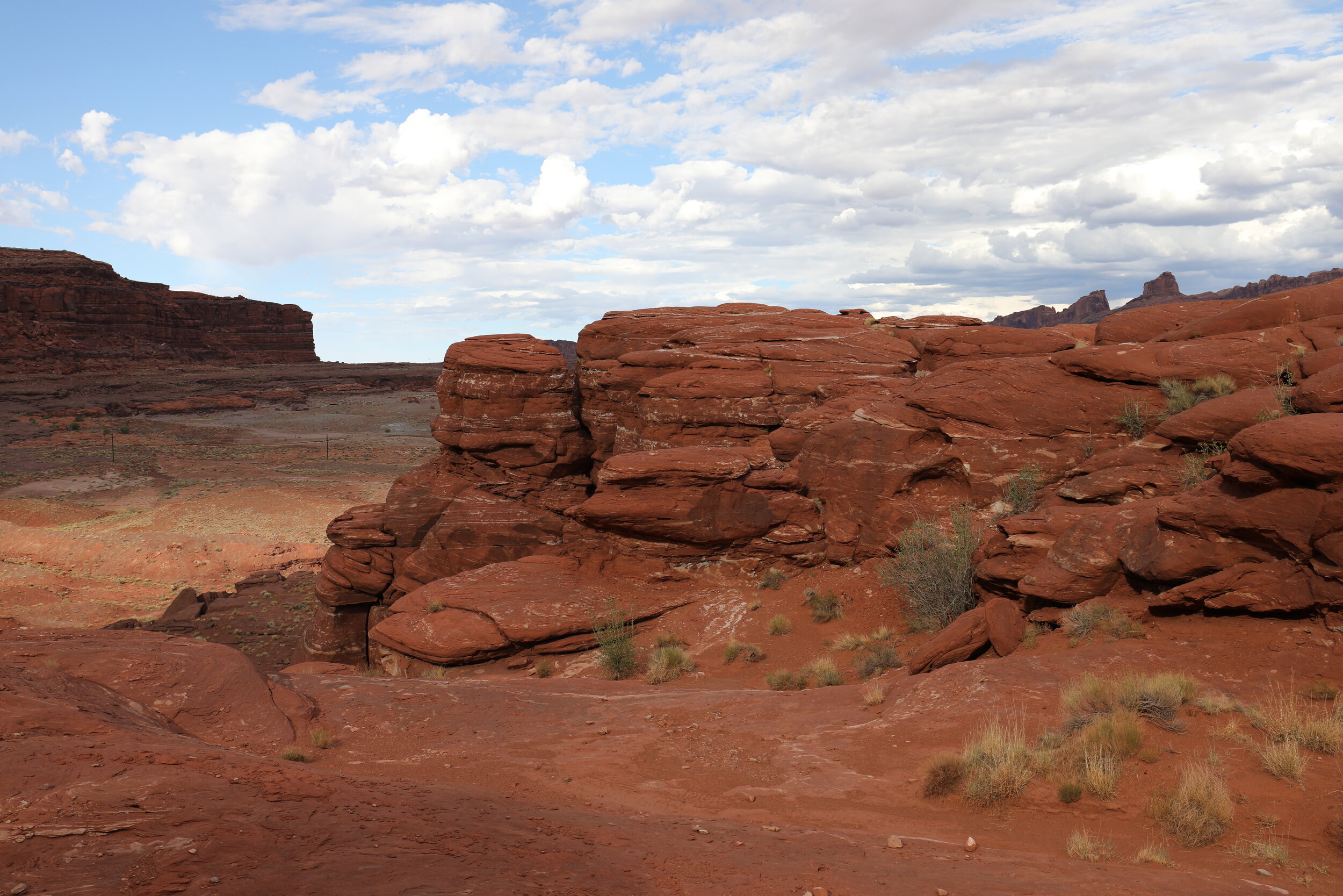 210A0080.JPG