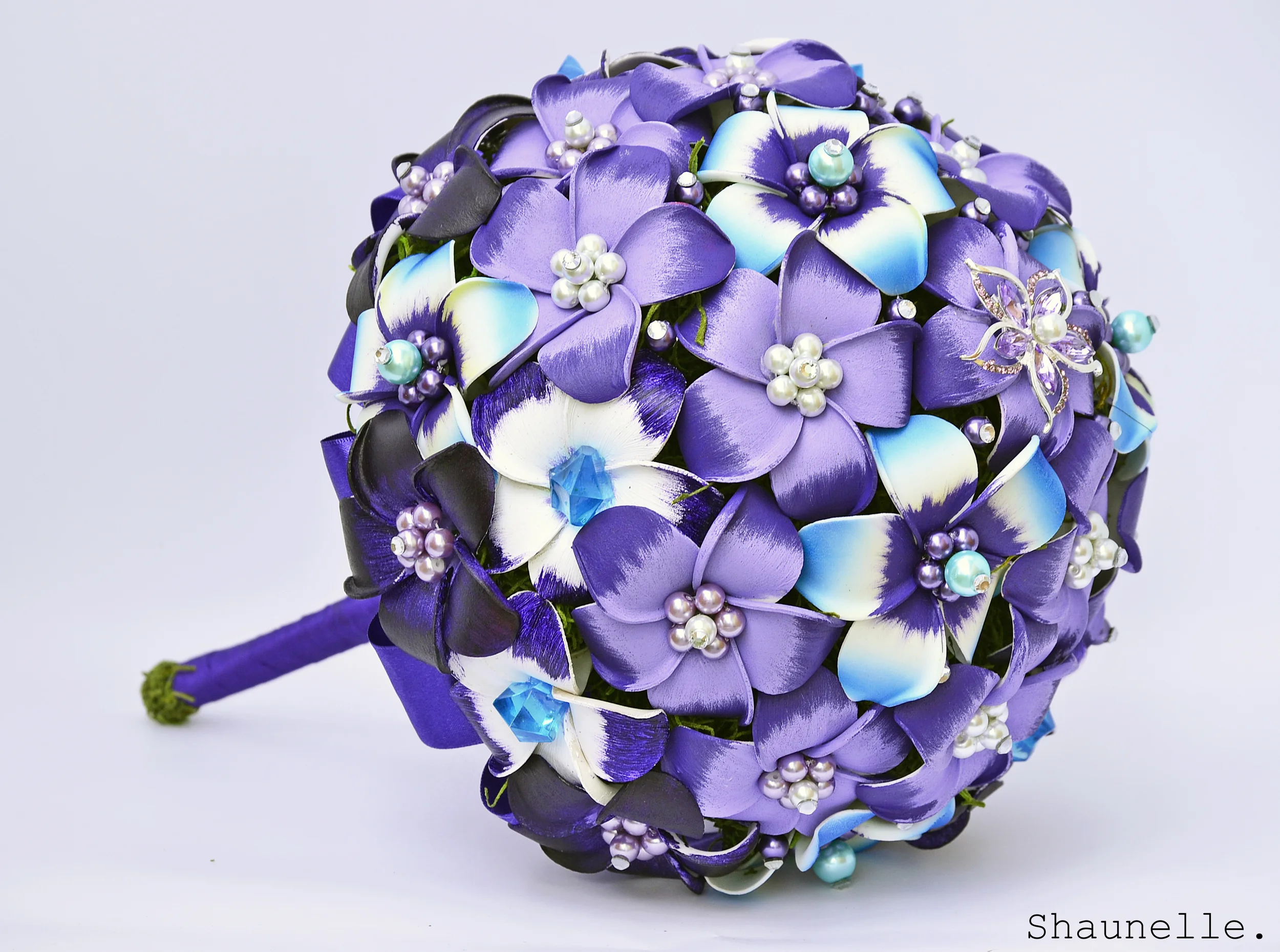 SFB2 - Copyright Shaunelle Ramesar 2015.jpg