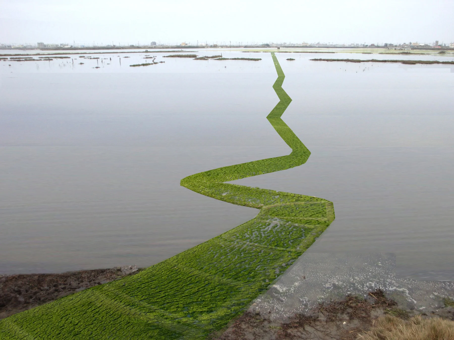 1. SKETCH Microclimate Life Line, LfM.jpg