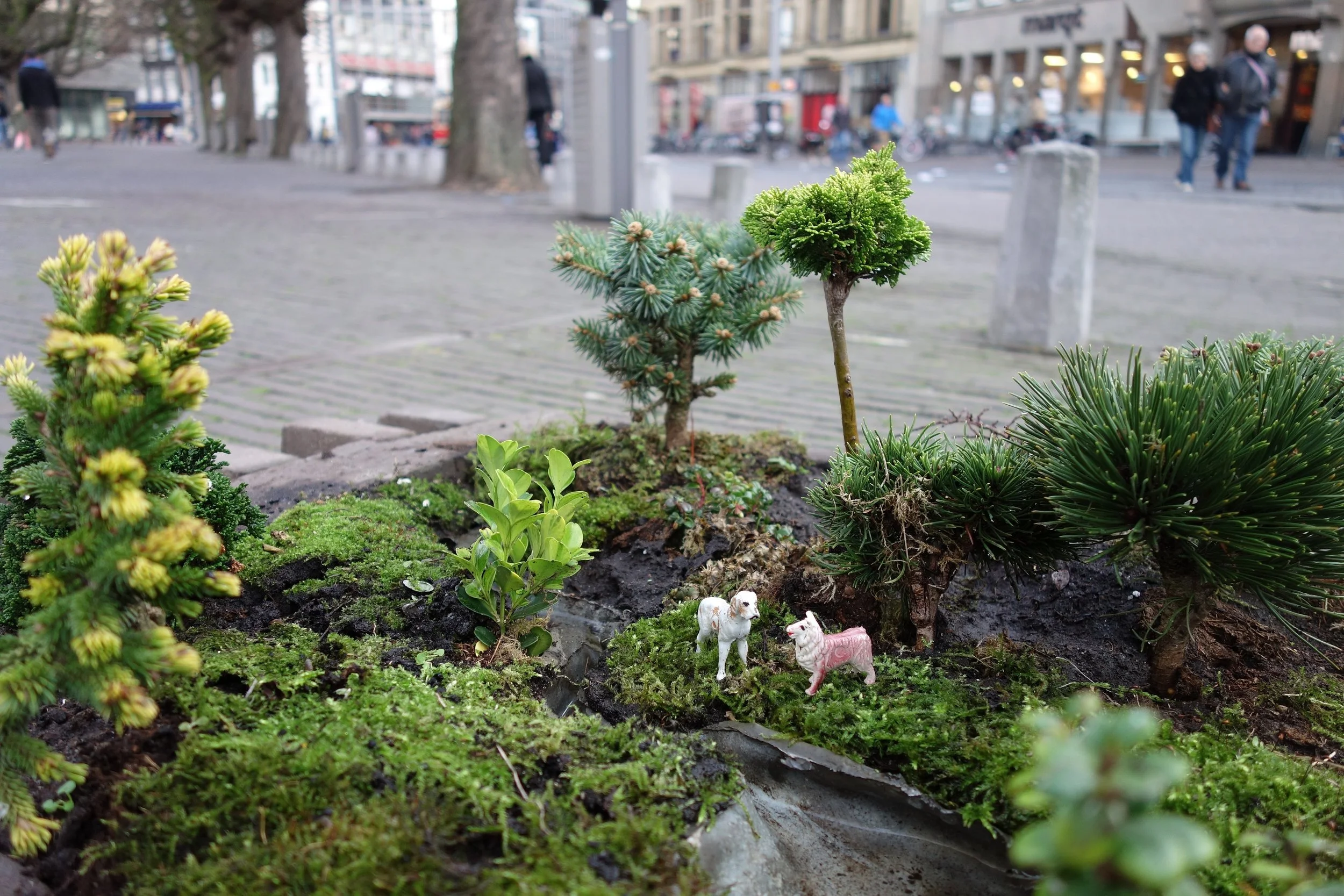 10.BijBinnenhofpark, installatie met watershed, nov 2015.JPG