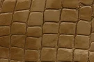 krokodil_tex.jpg