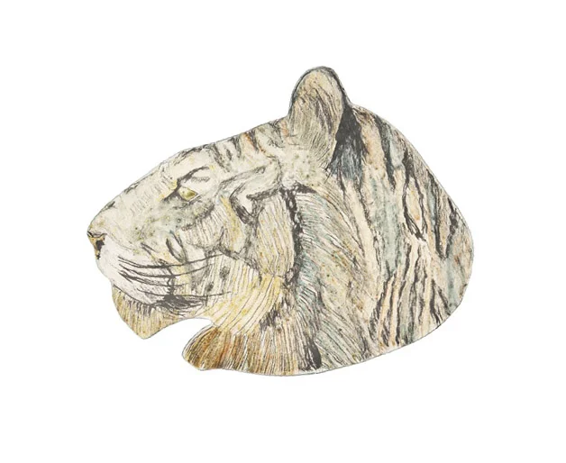 Tiger, profile