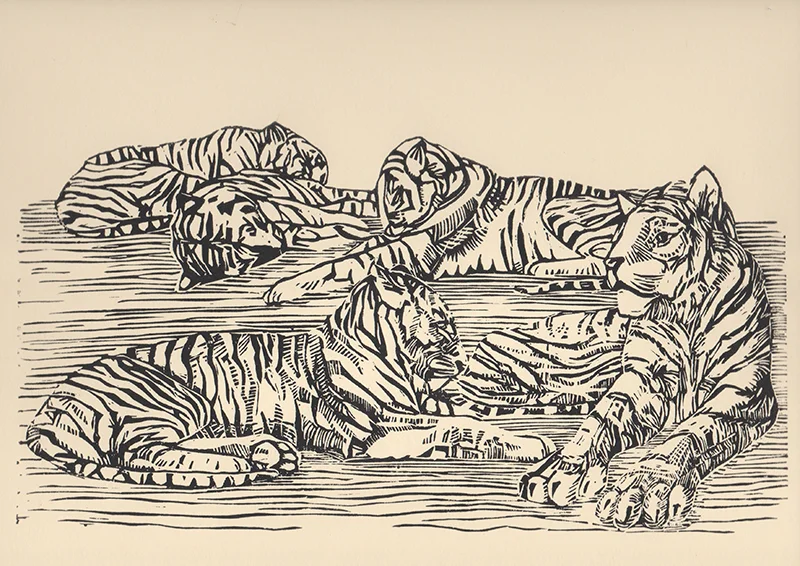 5 Tigers. Lino cut print on paper. 28,70 x 15,50 cm.