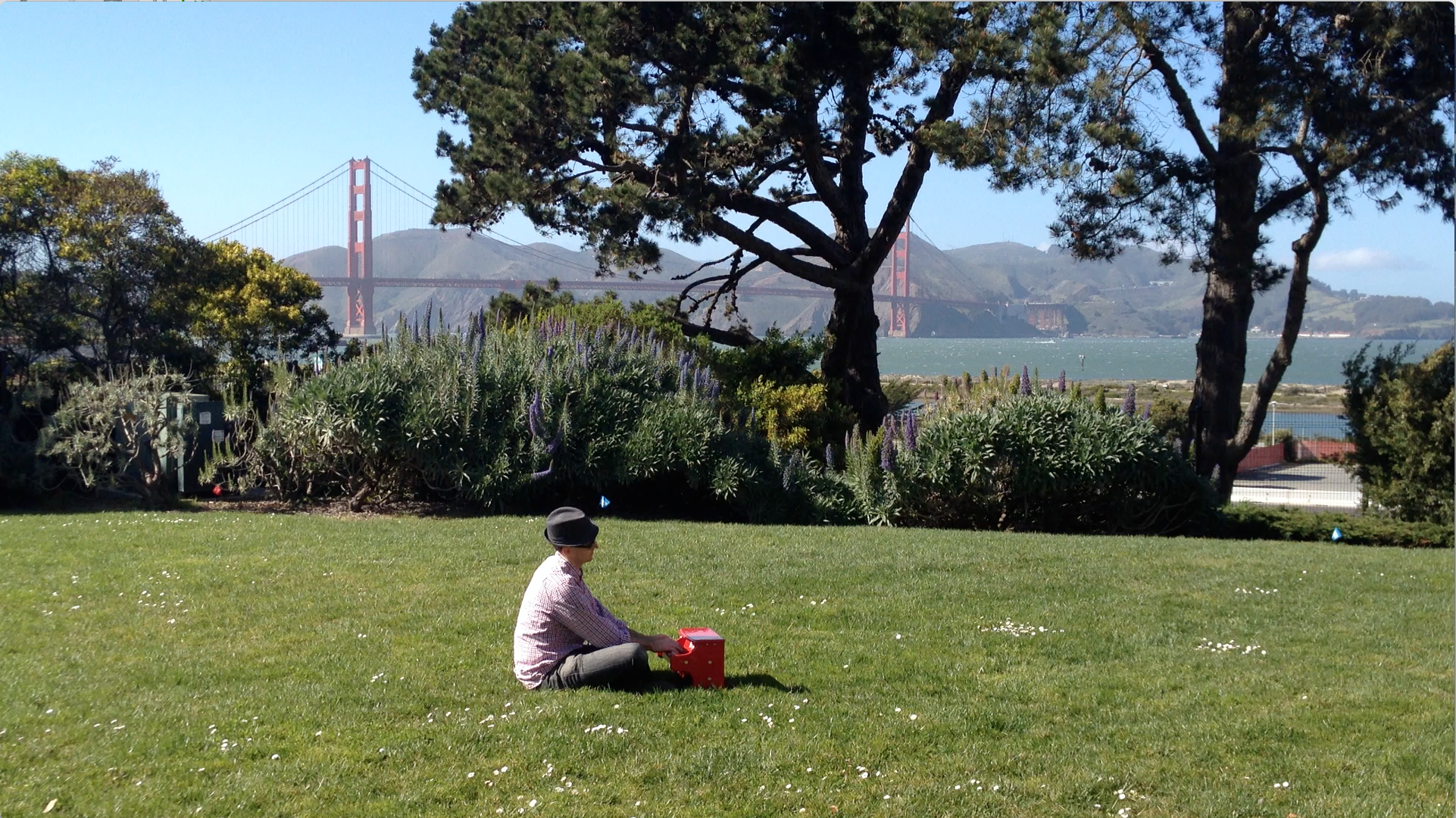 goldengatefield.png