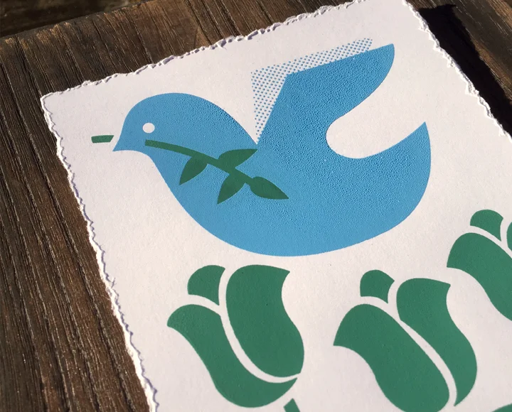dove2.jpg