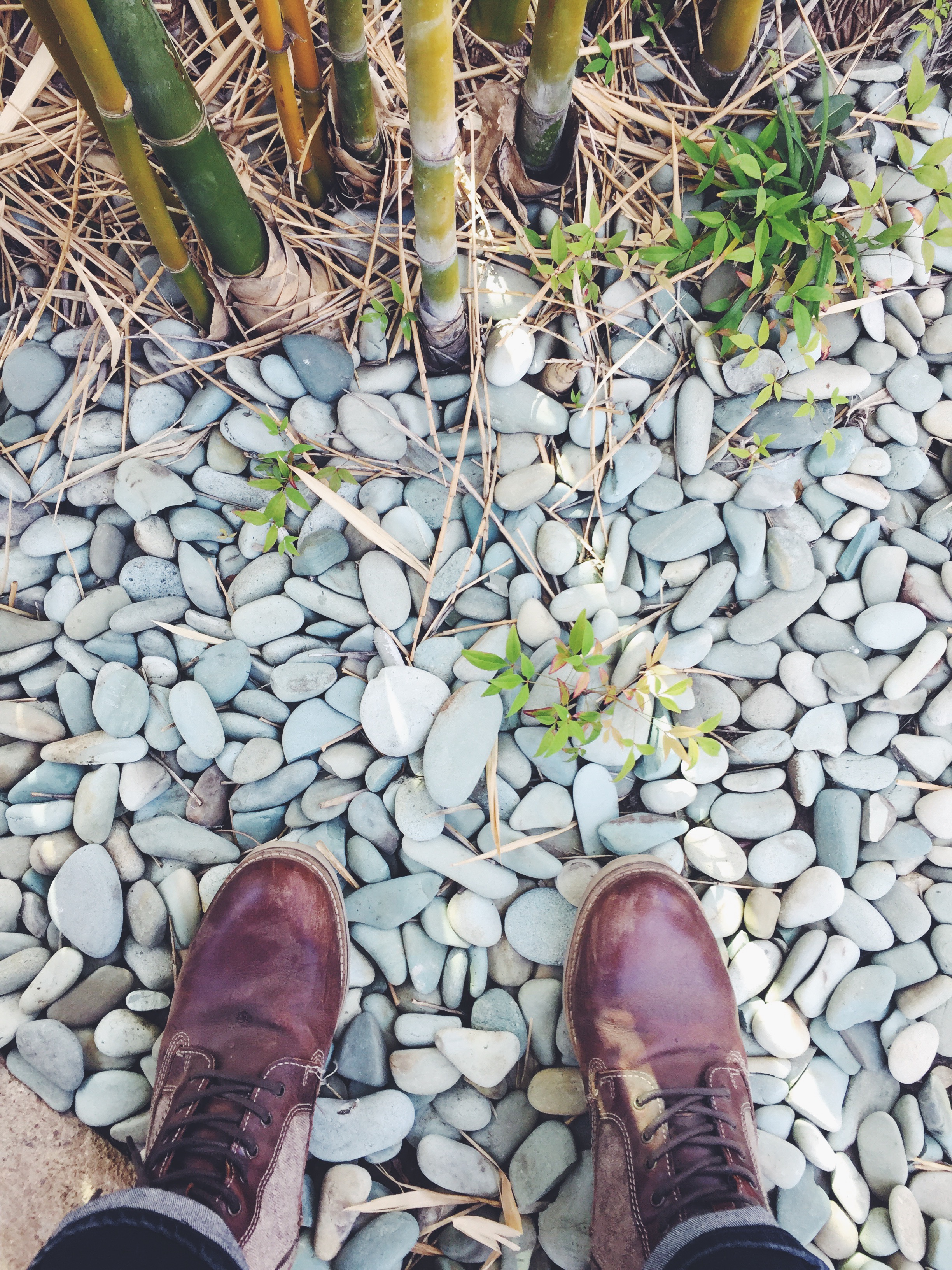 Lets face it, these days, there is magic in staring at your shoes.
