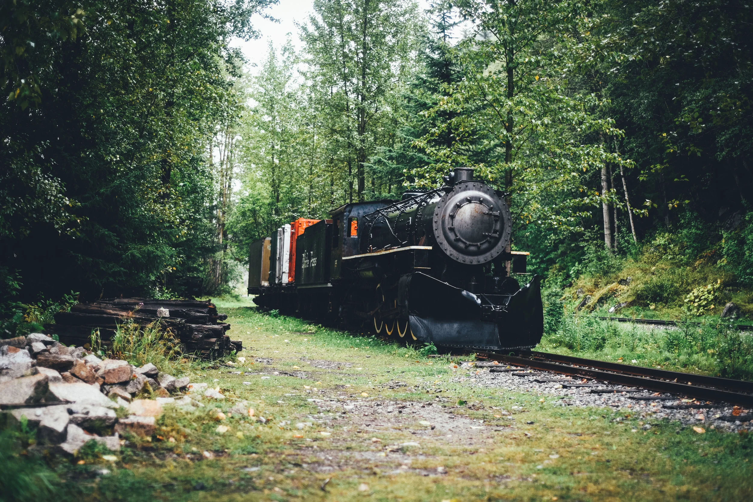 DSC_1020.jpg