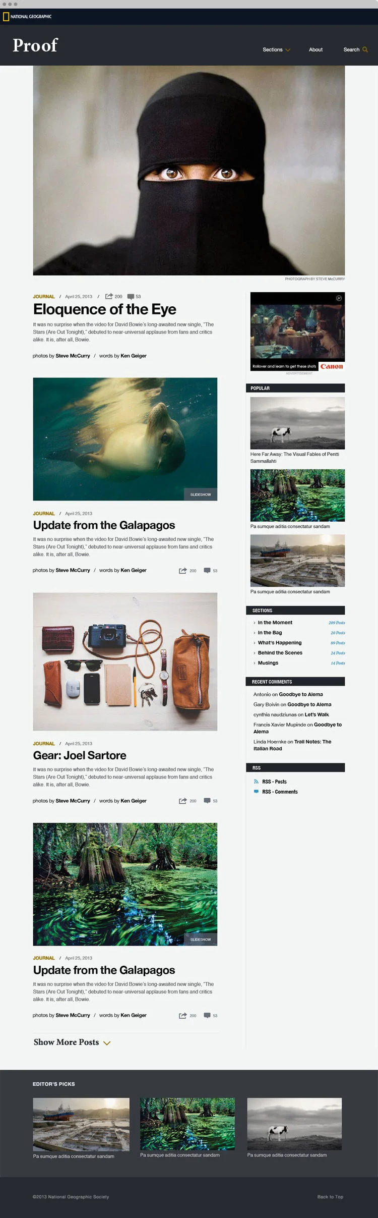 Home page 