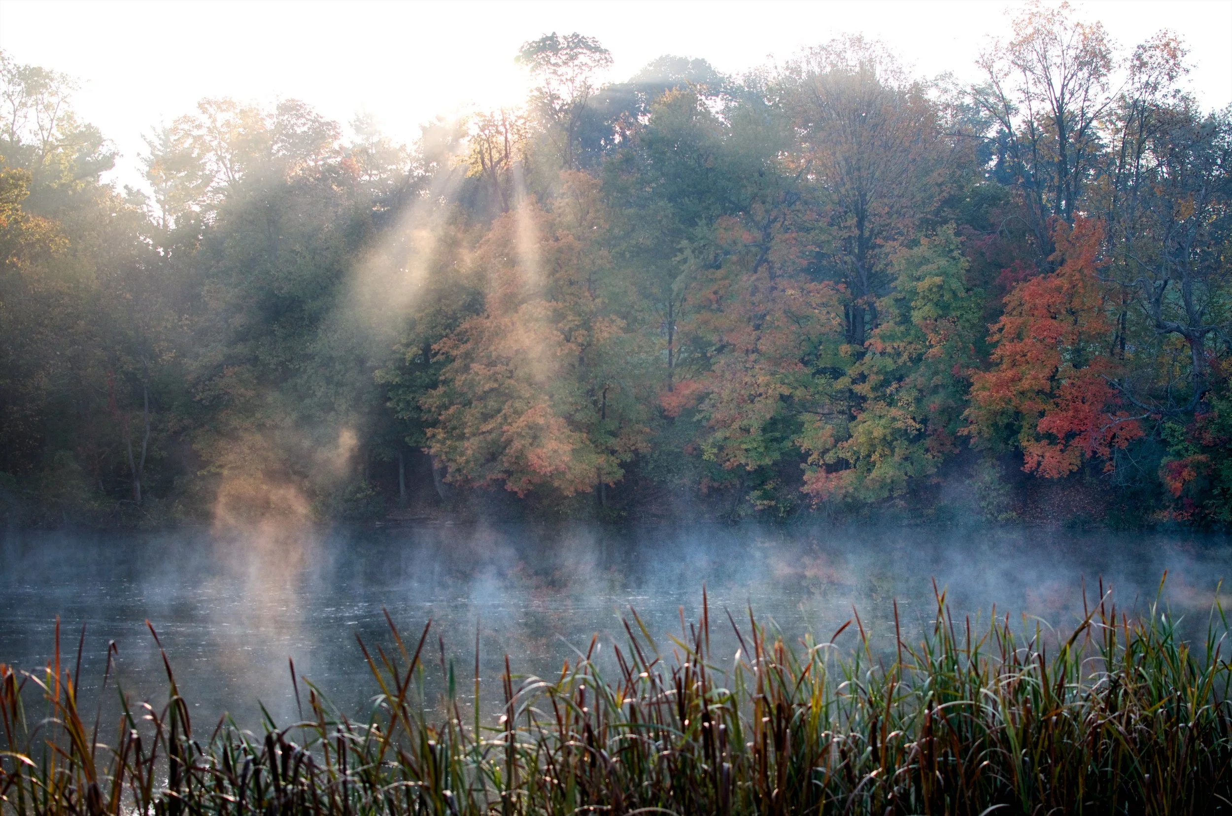 AndyChrist Cherokee - Fall.jpg