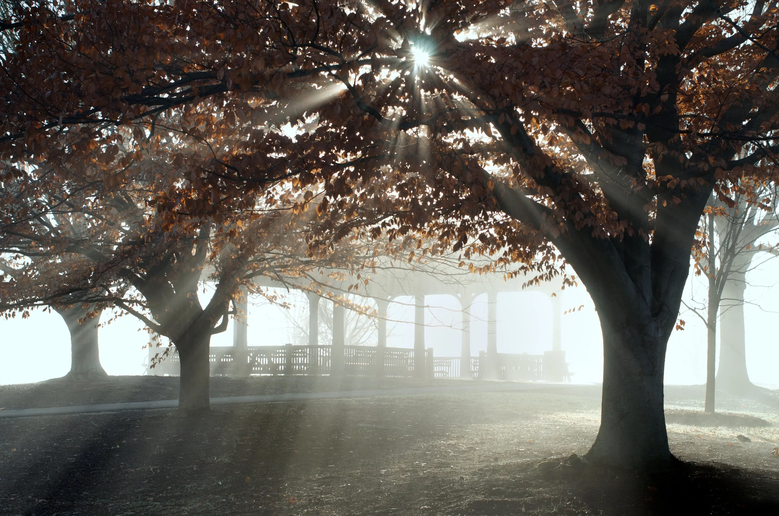 Andy-Christ-December_Fog_Baringer_Hill_Pavilion_Winter.jpg