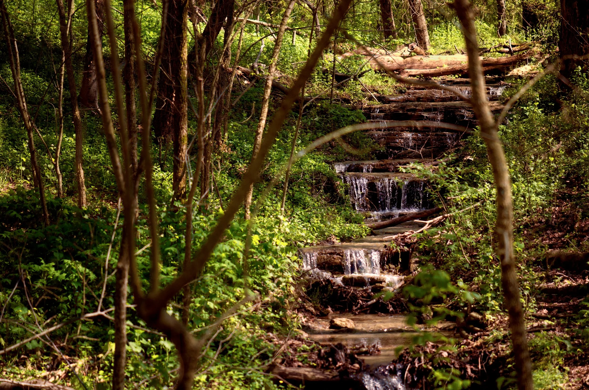 OLMSTED_Andy_Christ_CherokeePark_Summer116.jpg