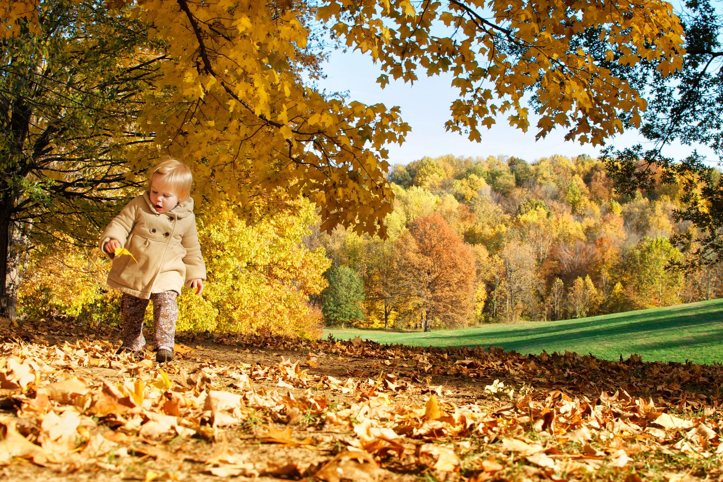 OLMSTED_Andy_Christ_CherokeePark_Fall115.jpg