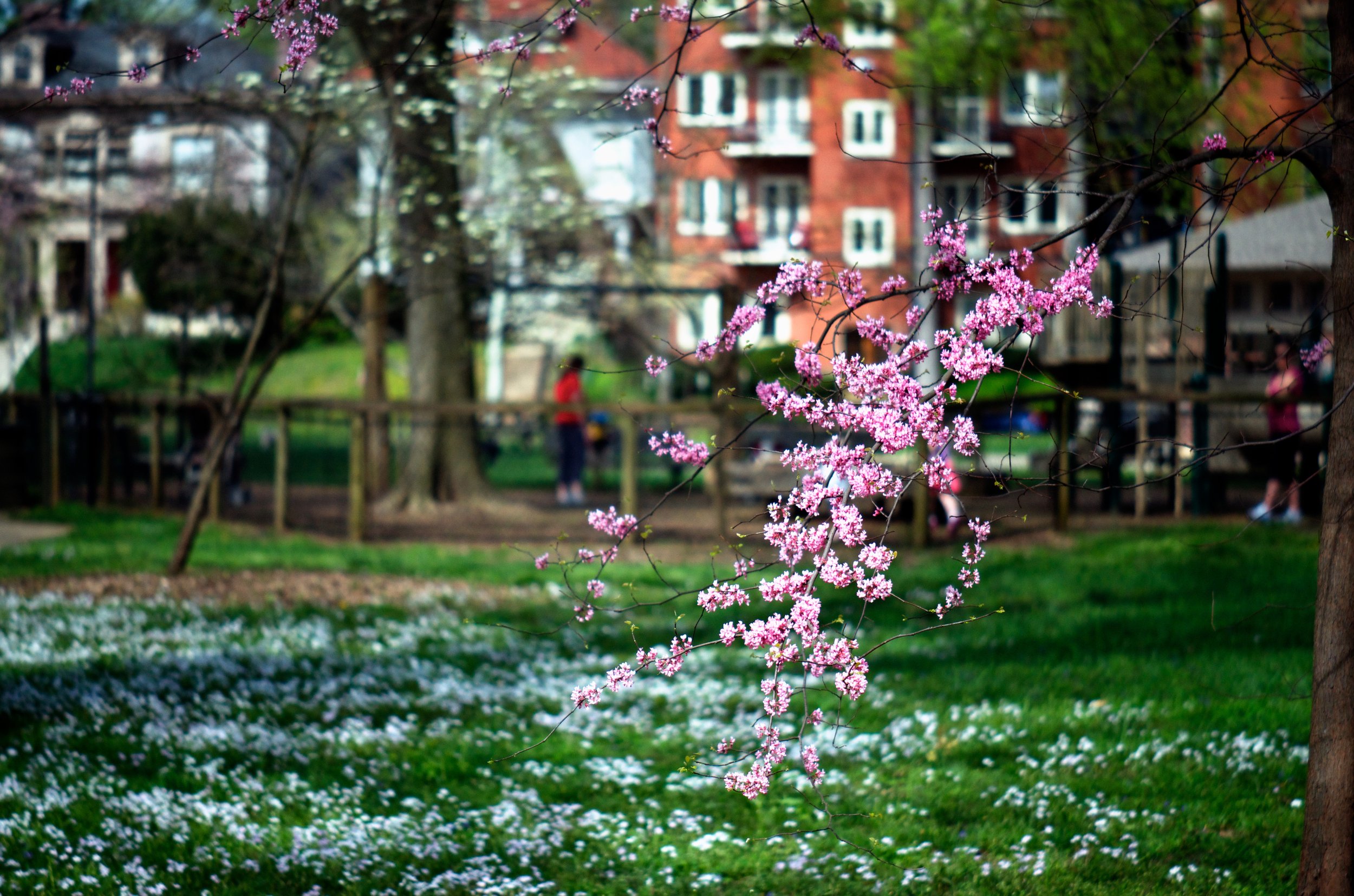 OLMSTED_Andy_Christ_WillowPark_Spring065.jpg