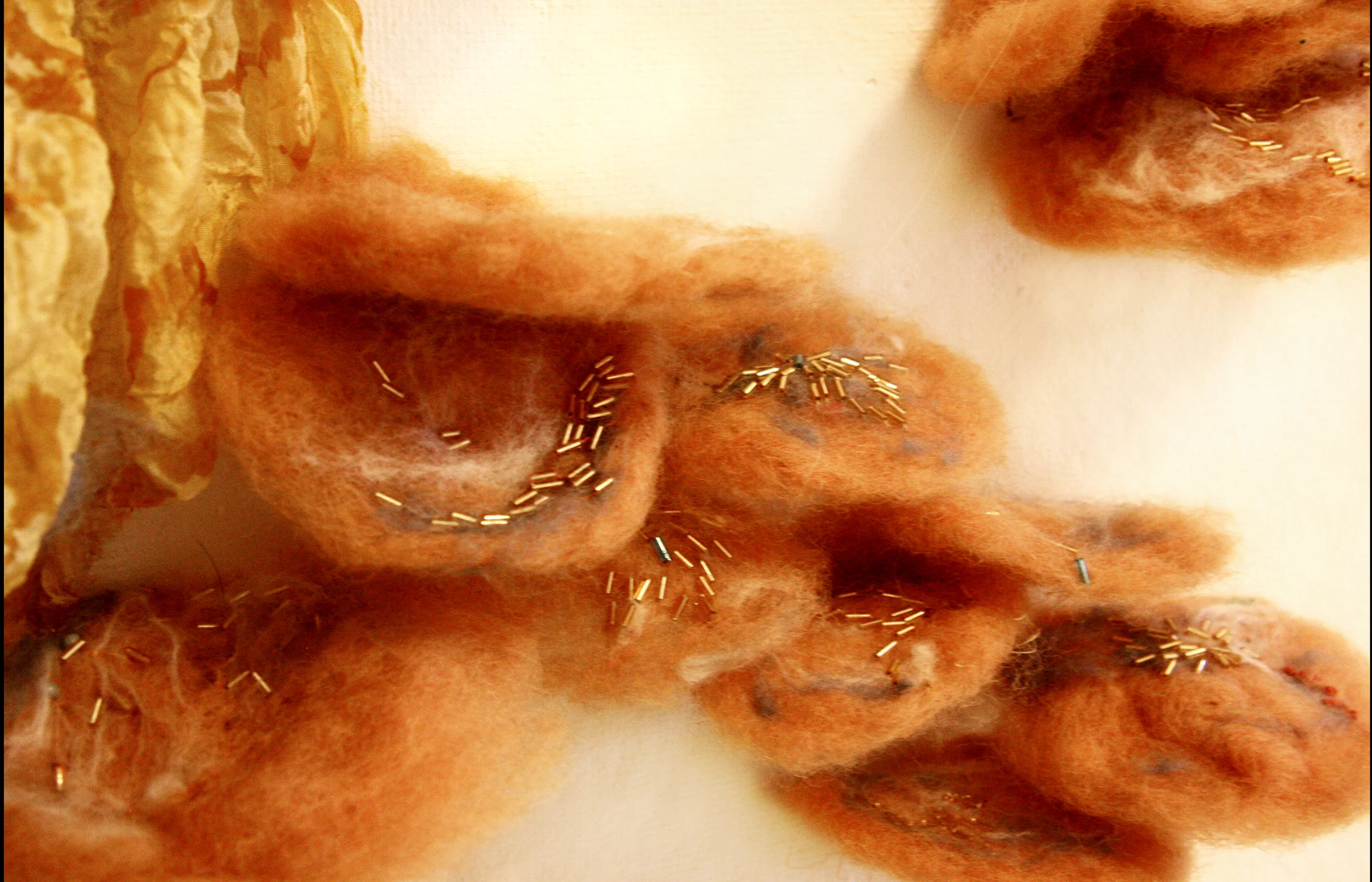 fungi_detail_size.jpg