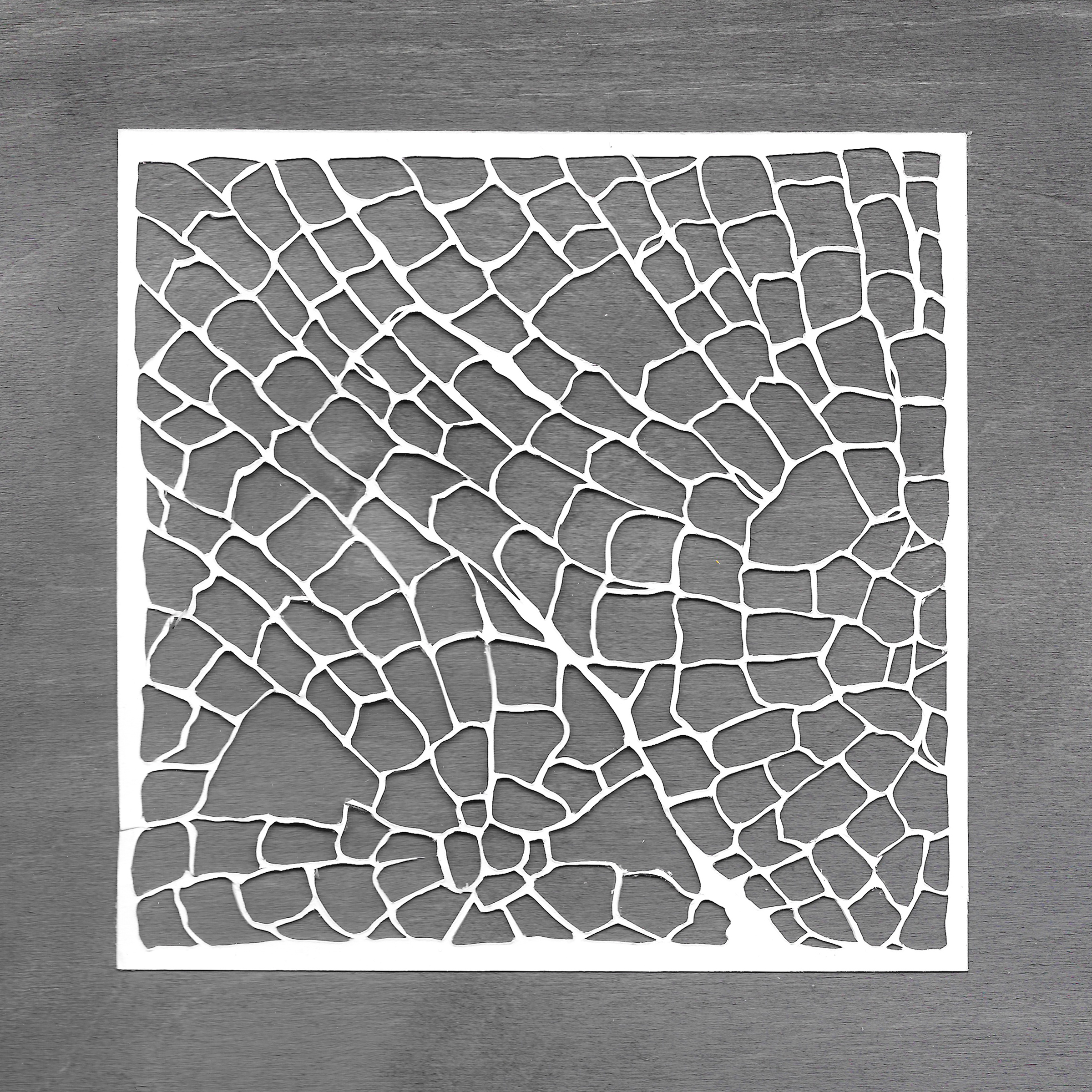 cell structure.jpeg
