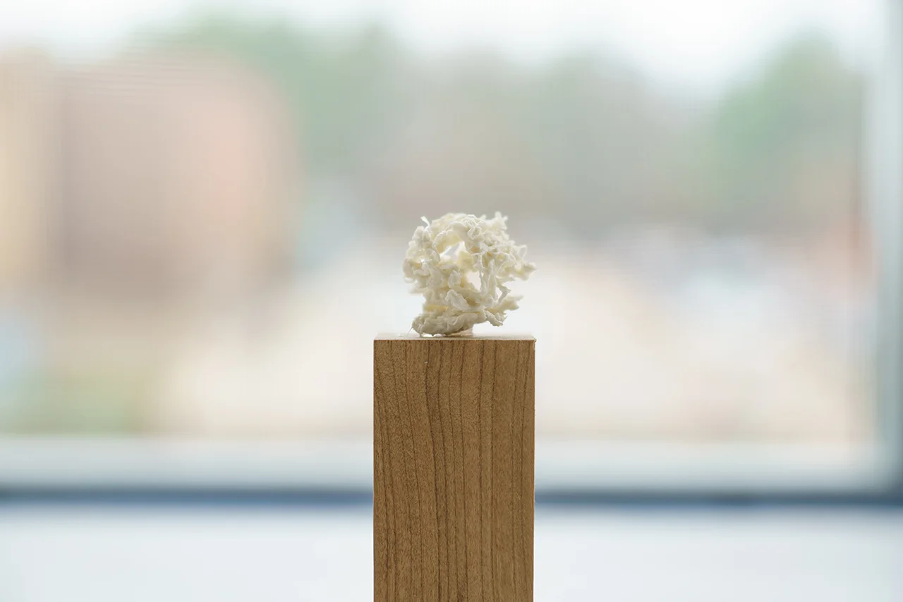 porcelain study.jpg