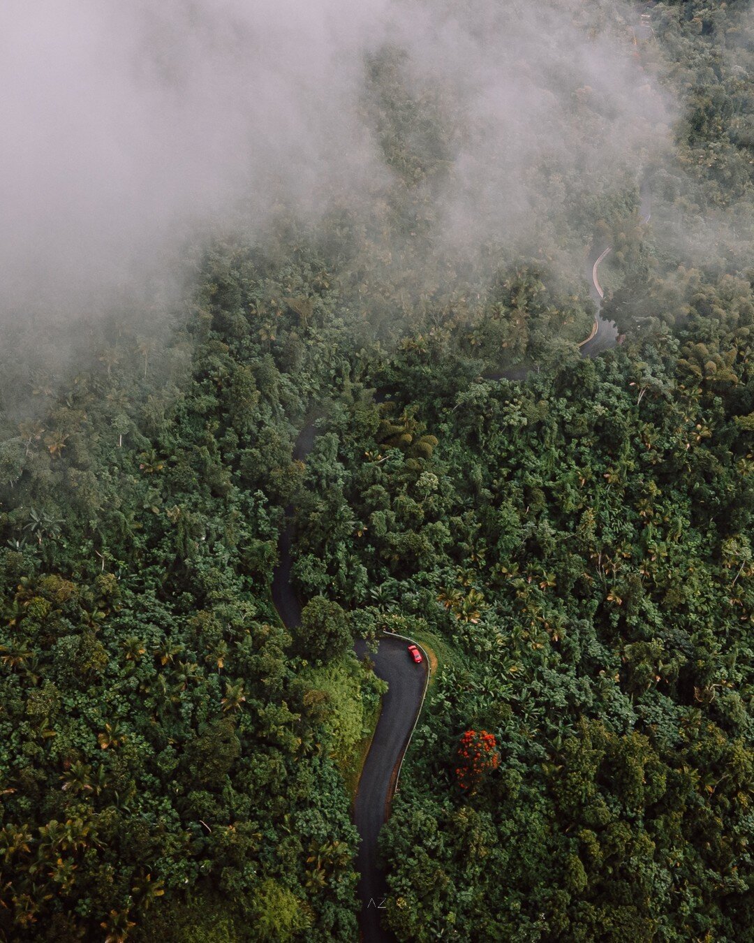 One of my favorite traveling experiences captured here in this drone shot 📸 -- I remember flying while fog grazed across my frame 🌫️...I was so excited to see and feel the moments up here. Just after it rained, I saw a sea of green split by one win