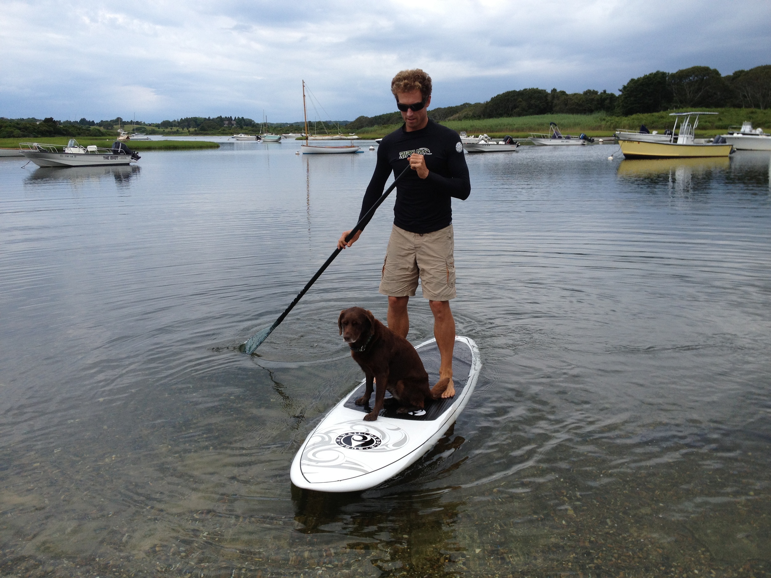 Dog goes on stand up paddle board