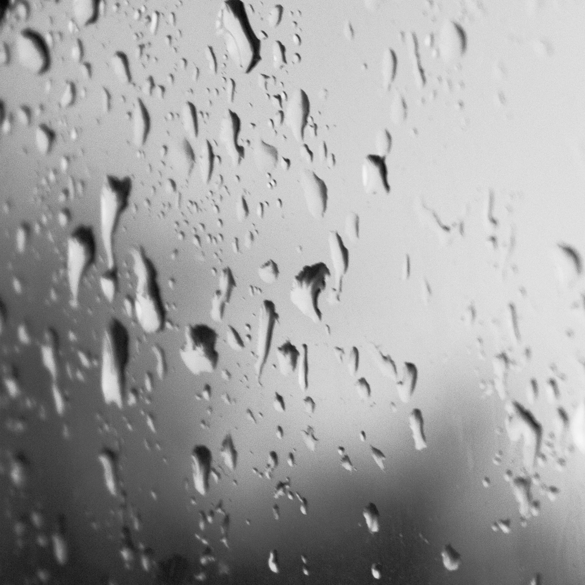 Dillon-water-3.jpg