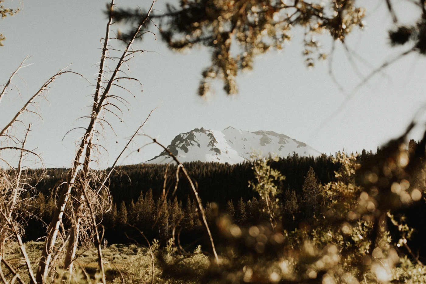 blogpost-004.jpg