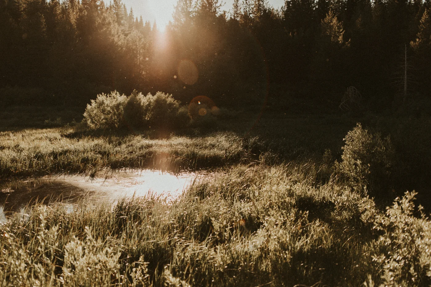 blogpost-015.jpg