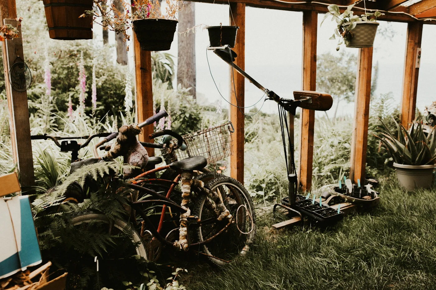 _MG_9744.jpg