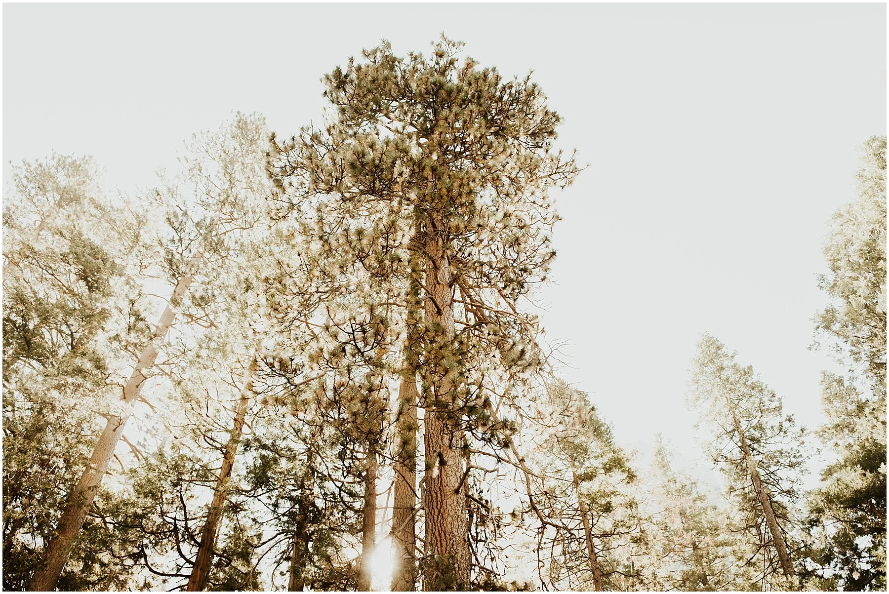 Yosemite_elopement_0067.jpg