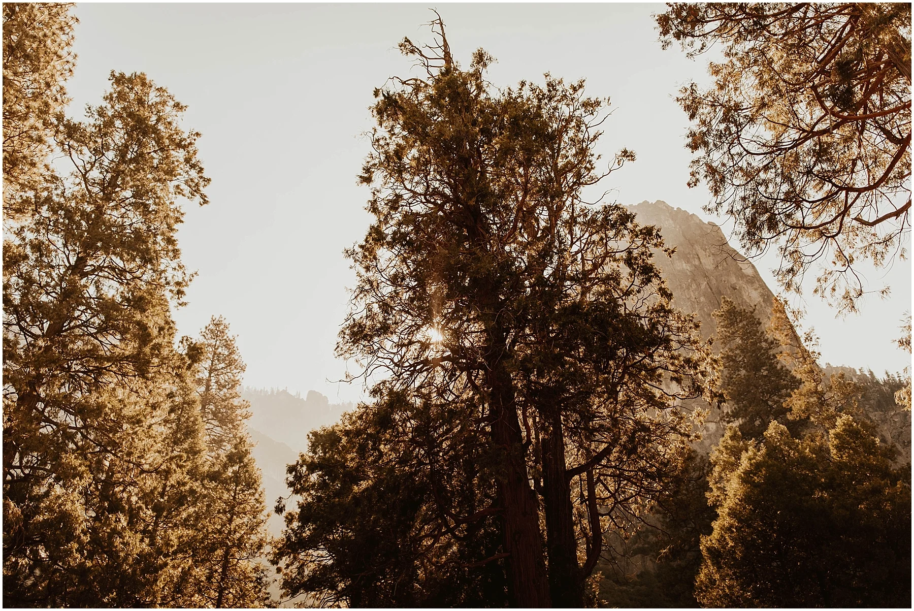Yosemite_elopement_0072.jpg
