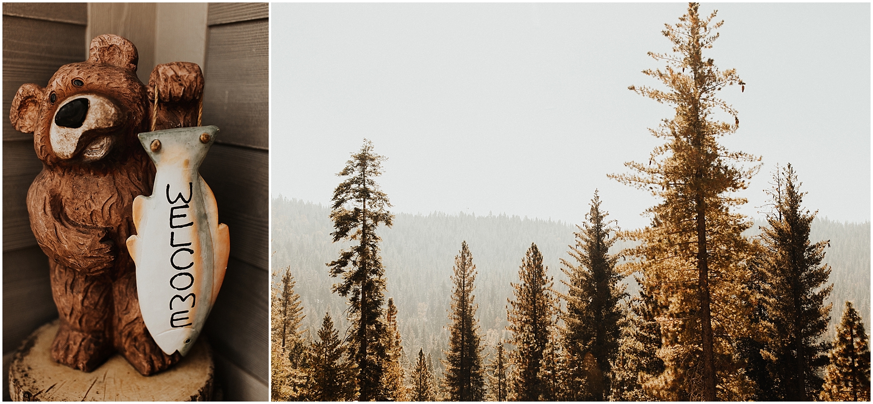yosemiteelopement_0013.jpg