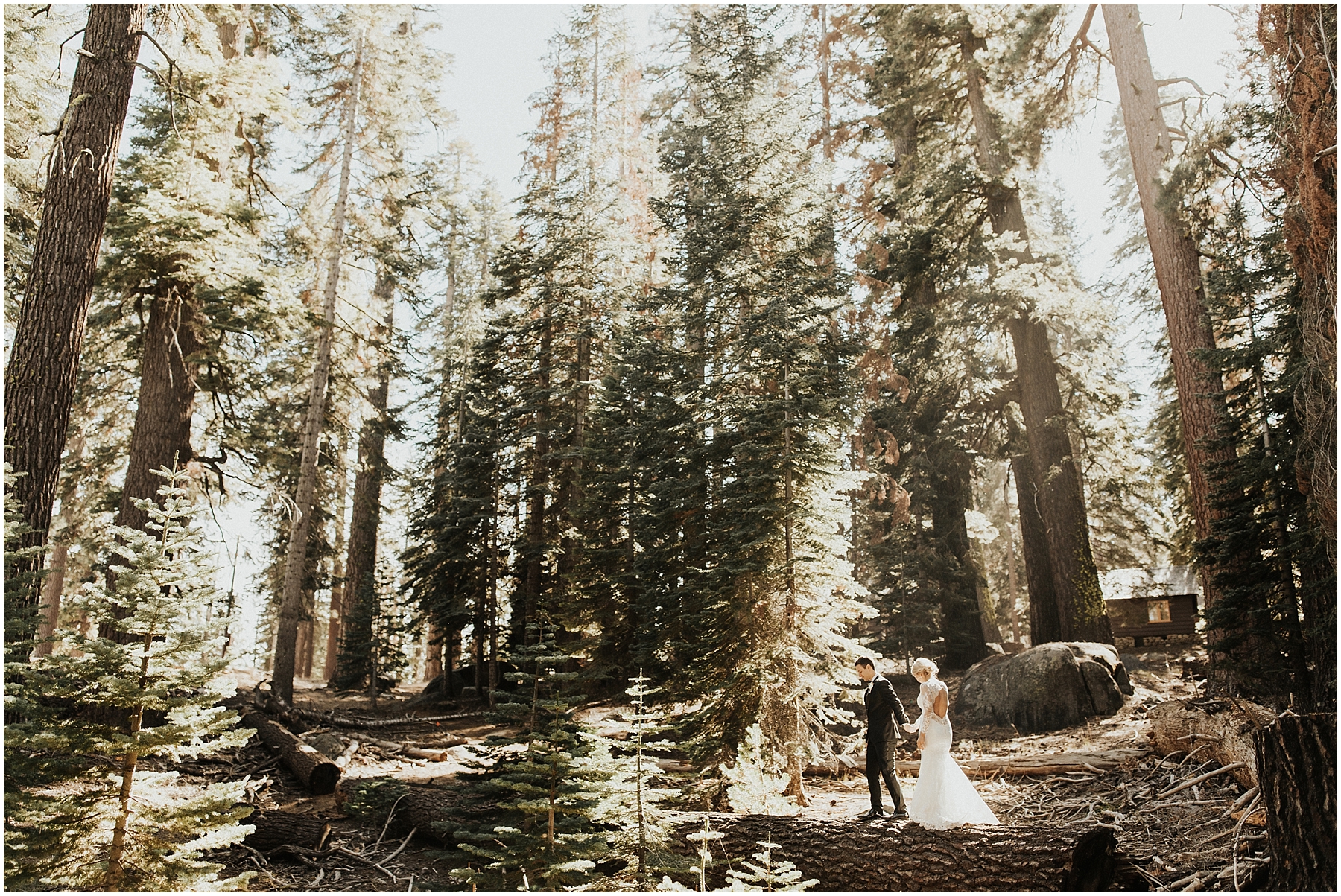 yosemiteelopement_0037.jpg