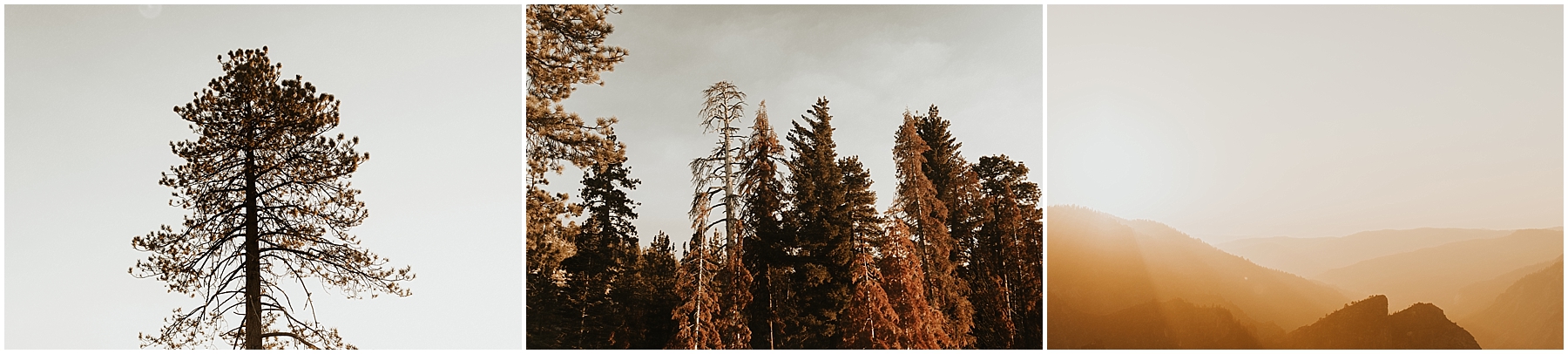 yosemiteelopement_0110.jpg