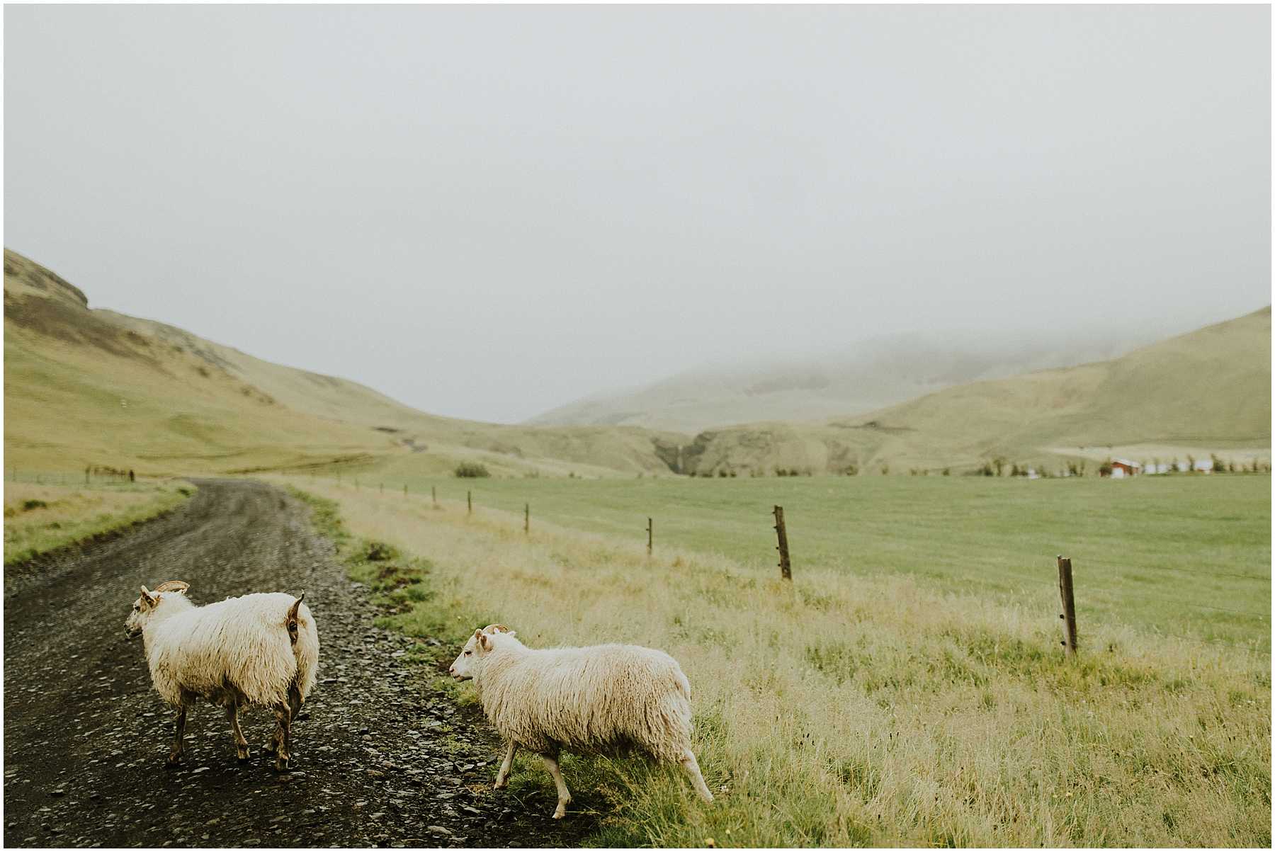 An Adventurous Engagement Session in Iceland