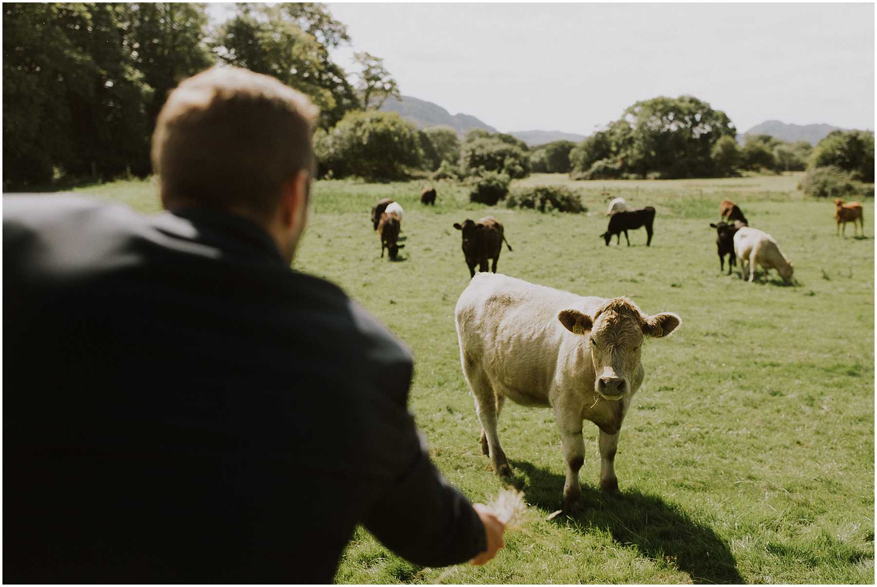 Intimate Wedding at the Gap of Dunloe in Ireland