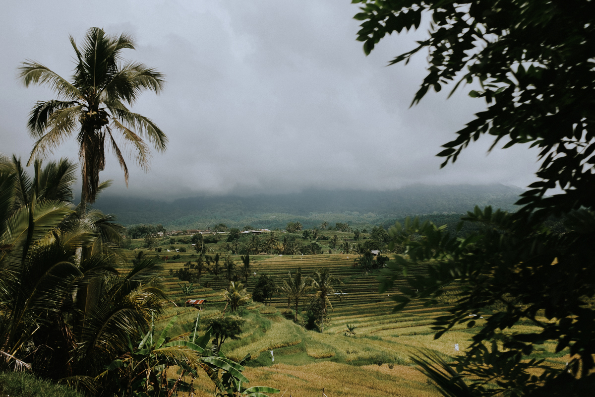 IMMERSED - Bali, Indonesia - November 21 - 26th Not just a workshop, an experience. Apply here