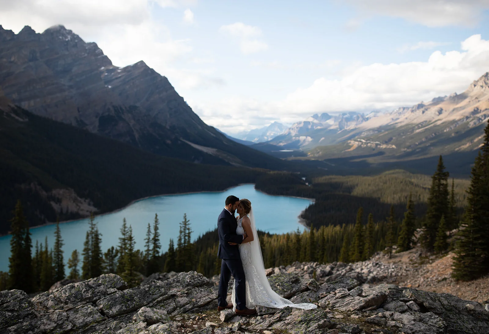 Anni Graham Presets Clean And Versatile Editing Presets Anni Graham Photography The earthy color palette of browns, greens and oranges will give to your photo a cozy warm style. https annigraham com presets