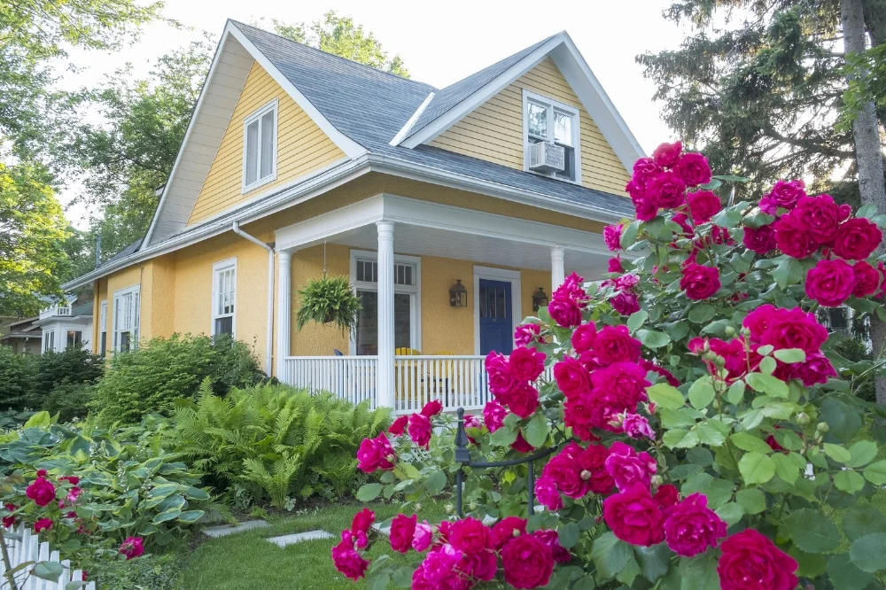 A happy house: Copyringht Chiyacat / Shutterstock.com