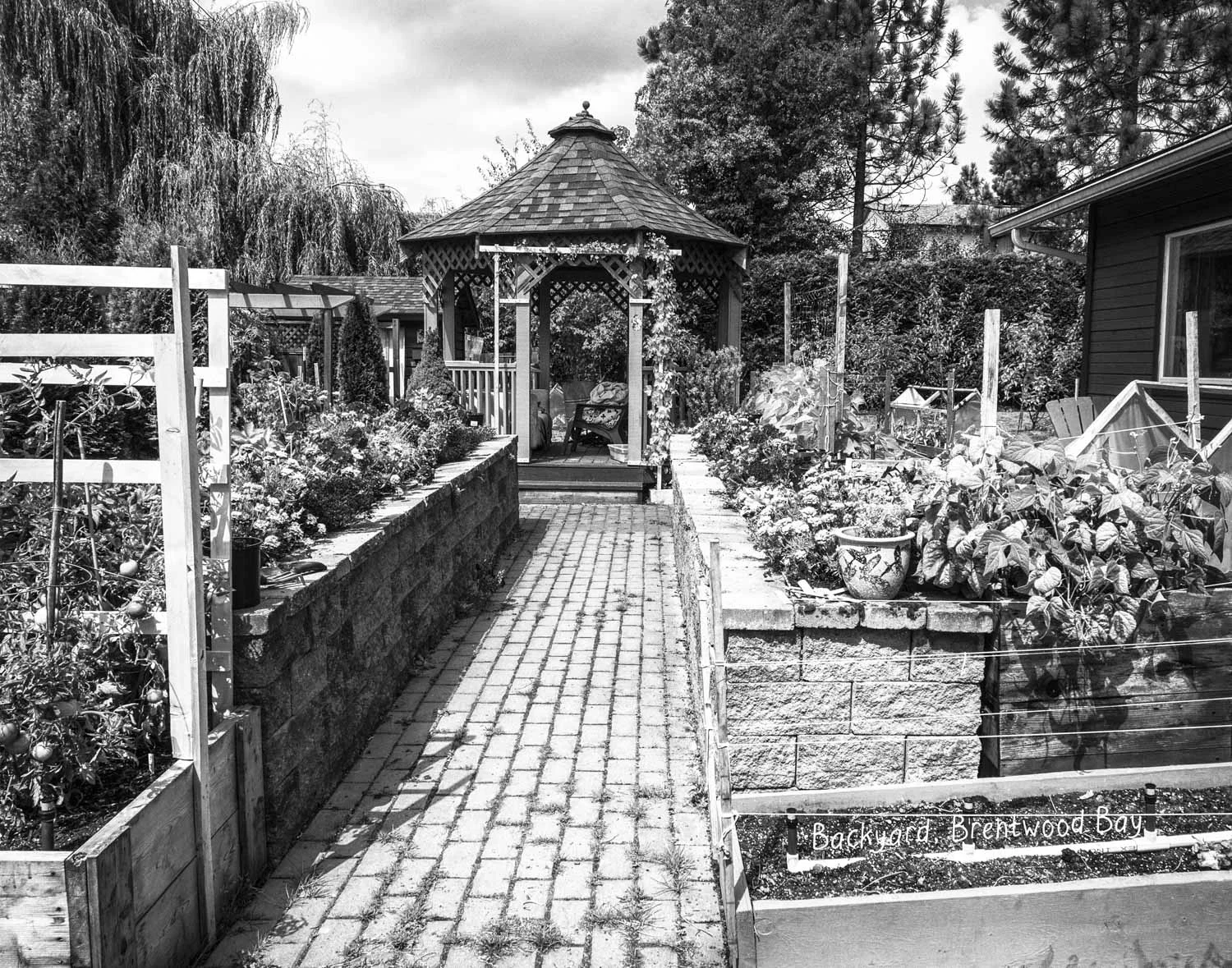 Home Grown/Series of 24