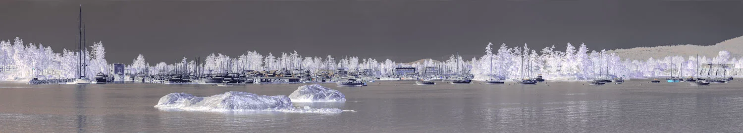 Tsehum Harbour 2016