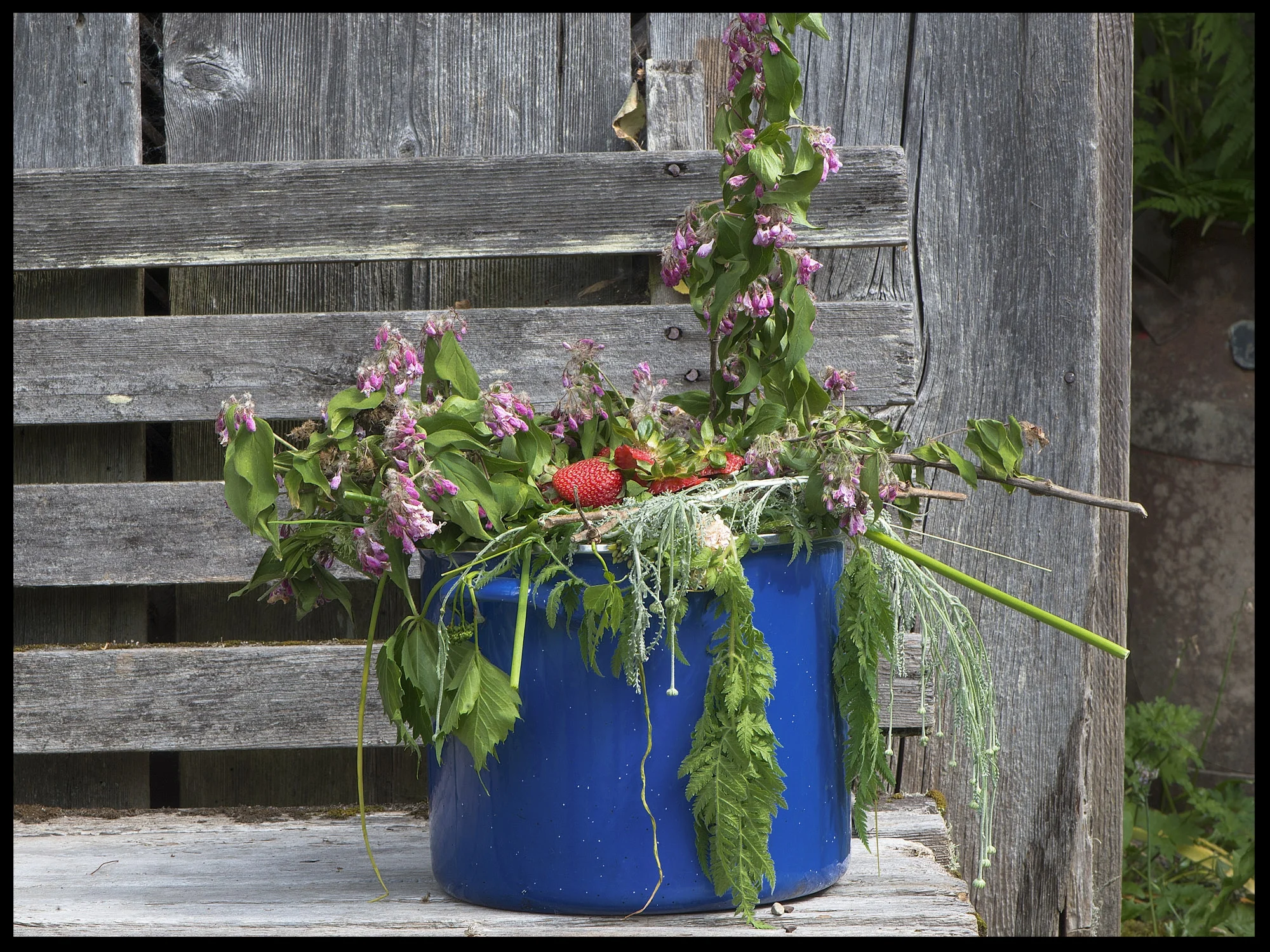 The Hawthorn: Another Spring/Series of 8