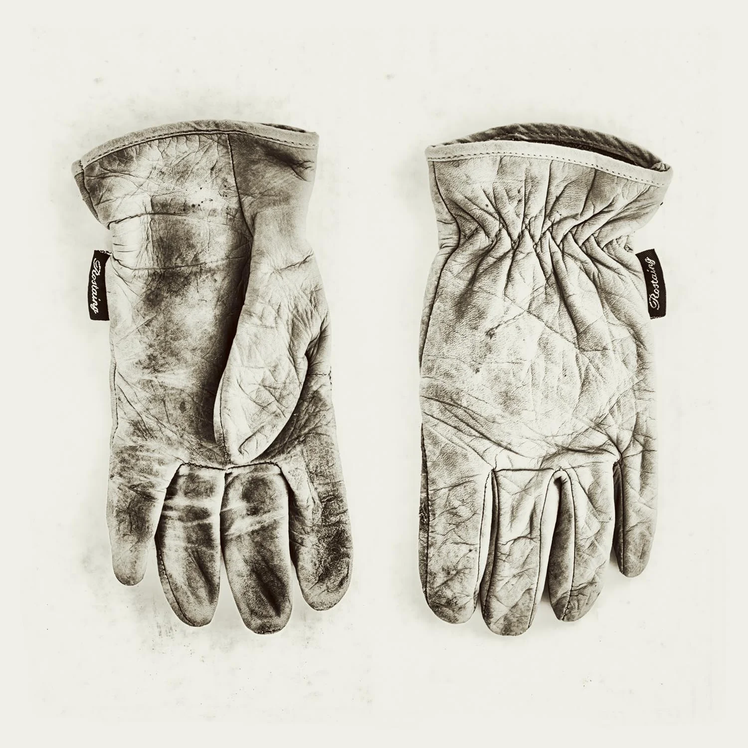 a life of their own/Series of 6