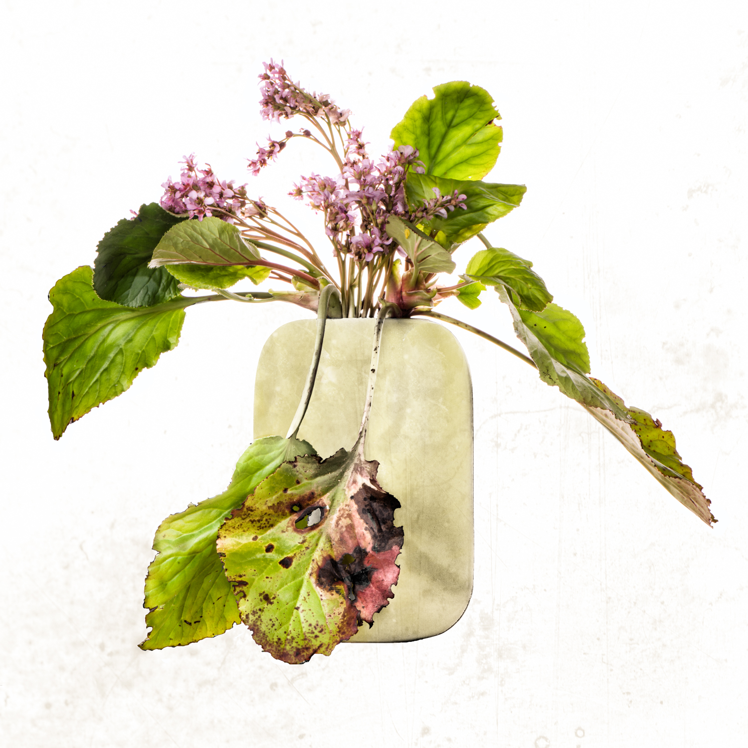 Make a Memory/Series of 19