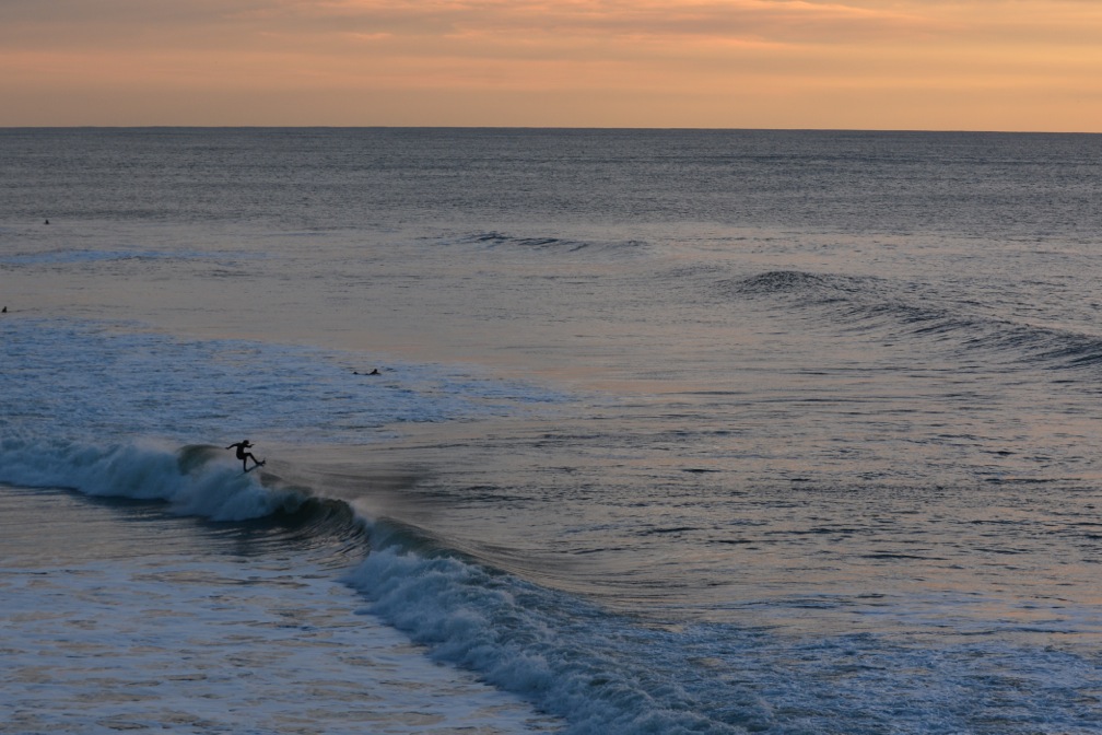 DSC_2945.jpeg