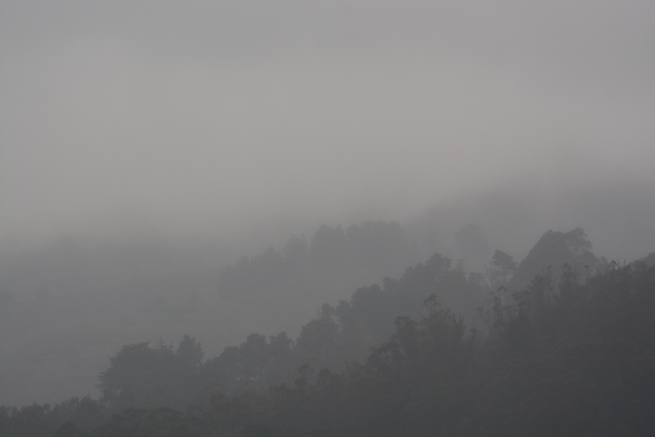 DSC_2743.jpeg
