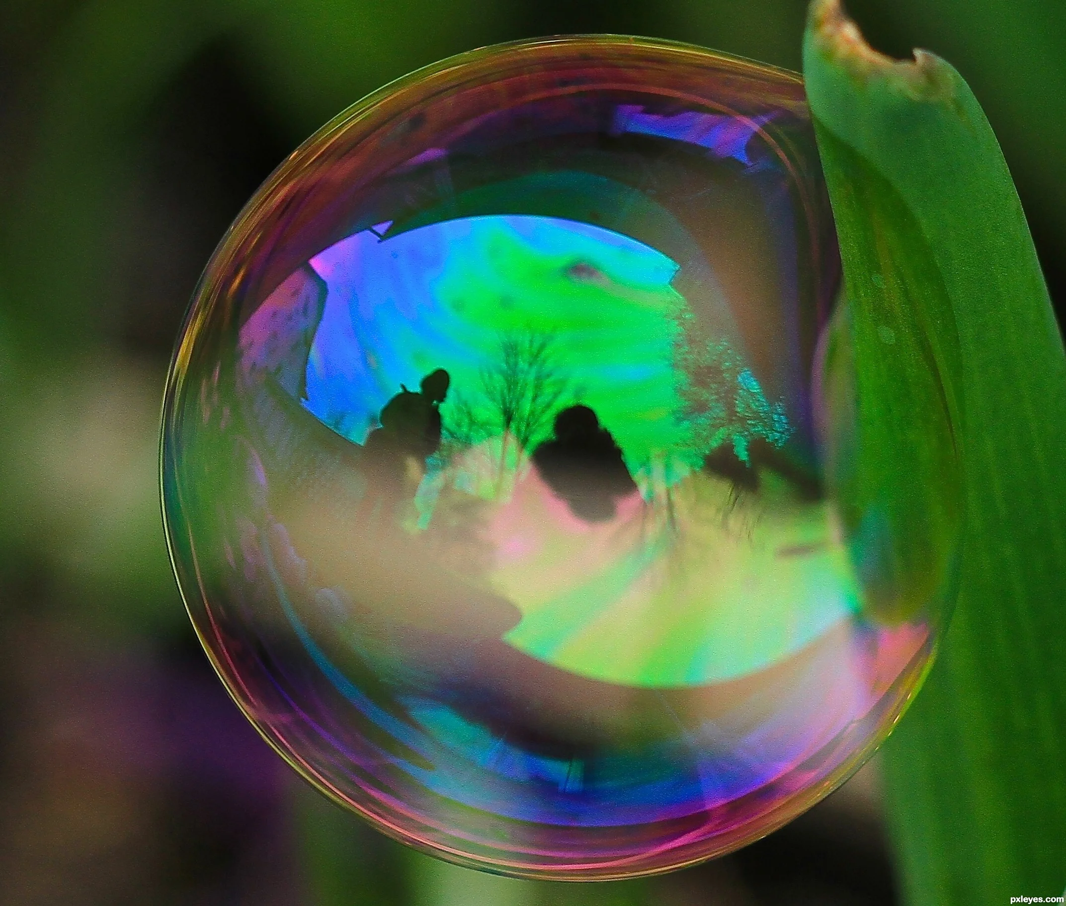 Reflection-50a9ead877cf5_hires.jpg