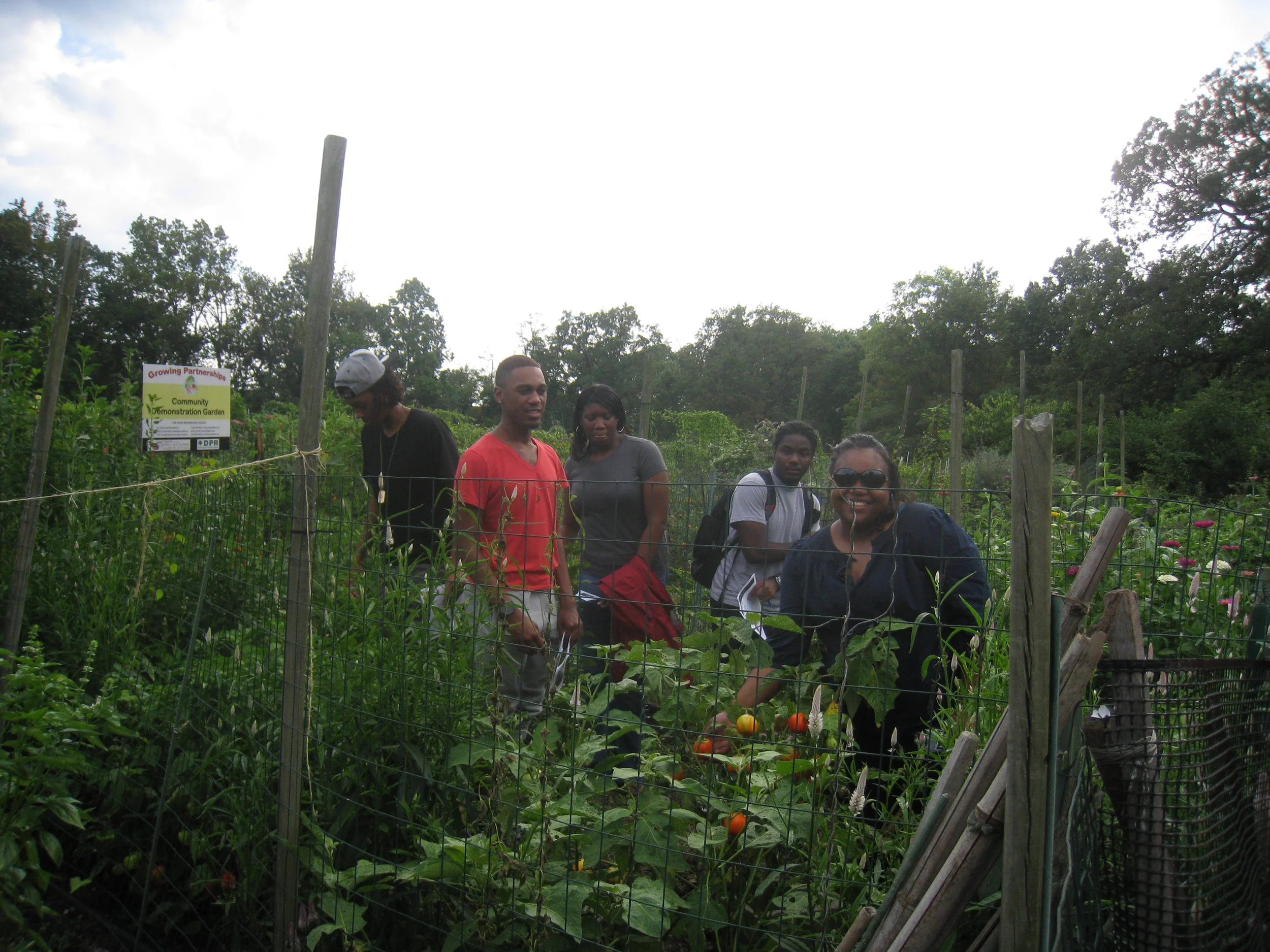2012-09-04 15.46.09.jpg