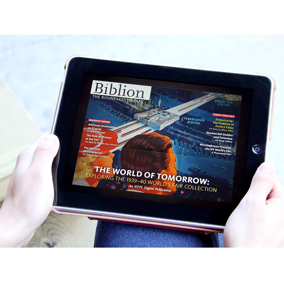 thumb_biblion1.jpg