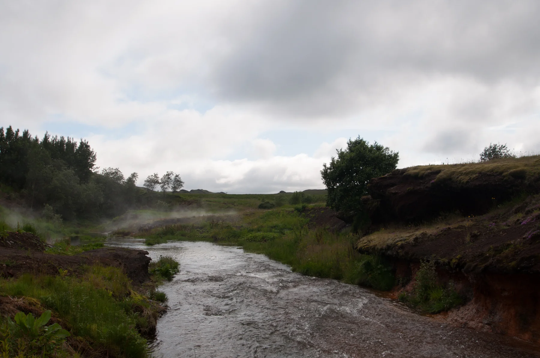 DSC_0323.jpg