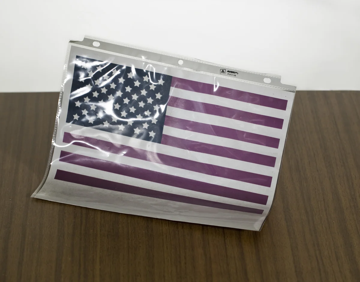2013_1_10_196_lee_093flag_1200.jpg